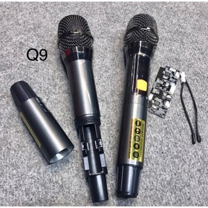 Loa mini Bluetooth Delux Q12