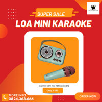 Loa Mini Hát Karaoke D12 Dành Cho Máy Chiếu Và Điện Thoại, Hỗ Trợ Bluetooth 5.0