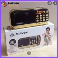 Loa mini + thẻ nhớ tiếng anh cho bé học tiếng anh