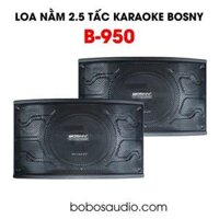 LOA NẰM KARAOKE BOSNY B-950