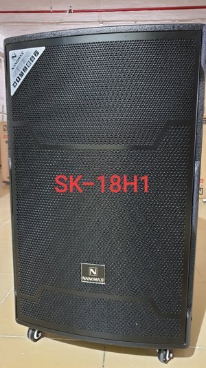 Loa Nanomax SK-18H3