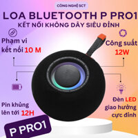 Loa Nghe Nhạc Cao Cấp P Pro 1 Kết Nối Nhanh Kháng Nước Tốt Pin Khoẻ Hỗ Trợ USb Thẻ Nhớ JAck 3,5