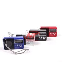 Loa nghe nhạc đa năng WSTCRS WS-239