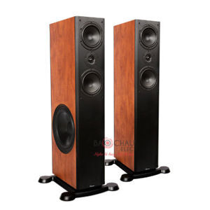 Loa nghe nhạc Paramax Platinum D-88 (Calvados)