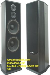 Loa nghe nhạc SL-939 ( Loa đứng )