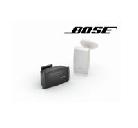 Loa ngoài trời Bose DS 16SE