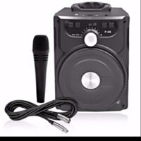 Loa p88 chính hãng tặng micro thanh lý giá sốc 180k