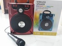 LOA P88 TẶNG MÍC DÂY KARAOKE