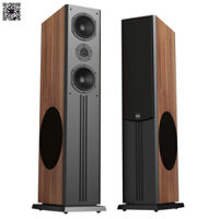 Loa PARAMAX D88 Limited