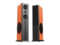 Loa PARAMAX D88 Limited