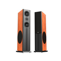 Loa Paramax D88 Limited