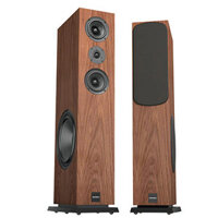 Loa Paramax D88 Special Edition