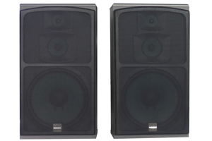 Loa Paramax F1050