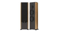 Loa Paramax FX 2500