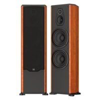 Loa PARAMAX FX-2500 (Calvados)