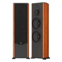Loa Paramax FX2500
