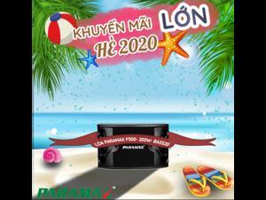 Loa Paramax P-300