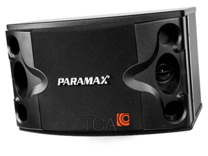 Loa Paramax P-300