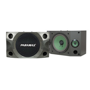 Loa Paramax P-850