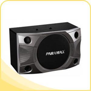 Loa Paramax P-900