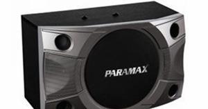Loa Paramax P-900