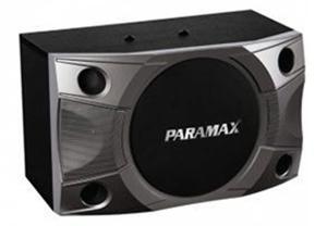Loa Paramax P-900