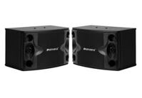 Loa Paramax P500