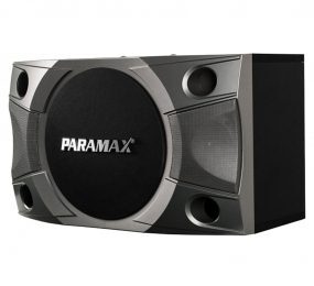 Loa Paramax P800