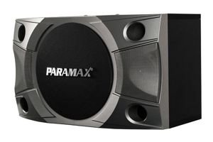 Loa Paramax P800