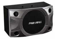 Loa Paramax P900