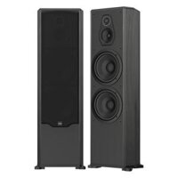 Loa Paramax Platinum FX-2500