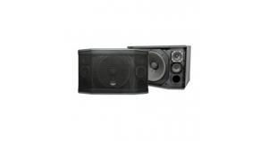 Loa Paramax Pro C10