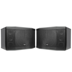 Loa Paramax Pro-C12