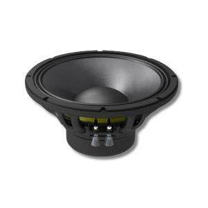 Loa P.Audio GM12-100N