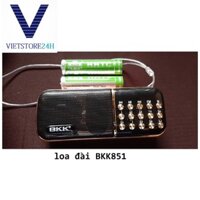 Loa pháp BKK b851, kèm 2 pin