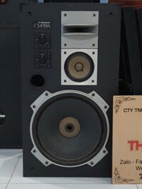 loa Pioneer CS f99a