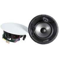 Loa Polk Audio 80 F/X-RT (Độ nhạy 90dB, Tần số 30Hz-27KHz)