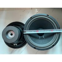 Loa rời bass 25 từ kép 126 - 120 coil 51 -  giá 1 loa