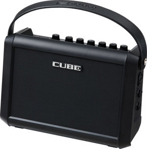 Loa Roland CUBE-ST