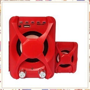 Loa Ruizu XSD3U (9W)