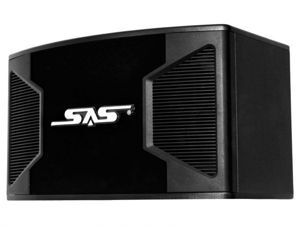 Loa Sas S300