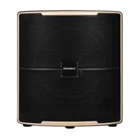 Loa siêu trầm Paramax  600W Z-SUB