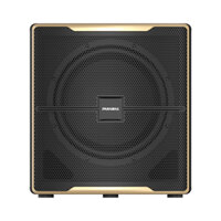 Loa siêu trầm Paramax Z-SUB, công suất 600W, Bass 30cm