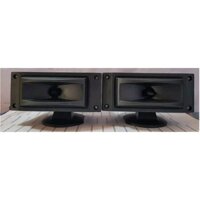 Loa siêu treble T20