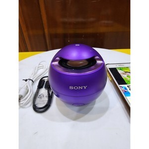 Loa Sony SRS-X1