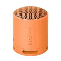 Loa Sony SRS-XB100 - Chính Hãng