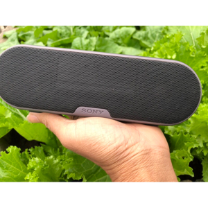 Loa Bluetooth Sony SRS-XB2 9W