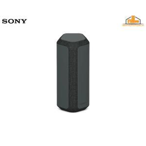 Loa Sony SRS-XE300