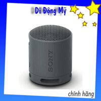 Loa Sony XB100 - Loa bluetooth không dây Sony SRS-XB100