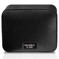 Loa SoundMax R-300